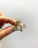 STARLIGHT DOME RING - SEAFOAM