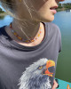 RAINBOW NECKLACE
